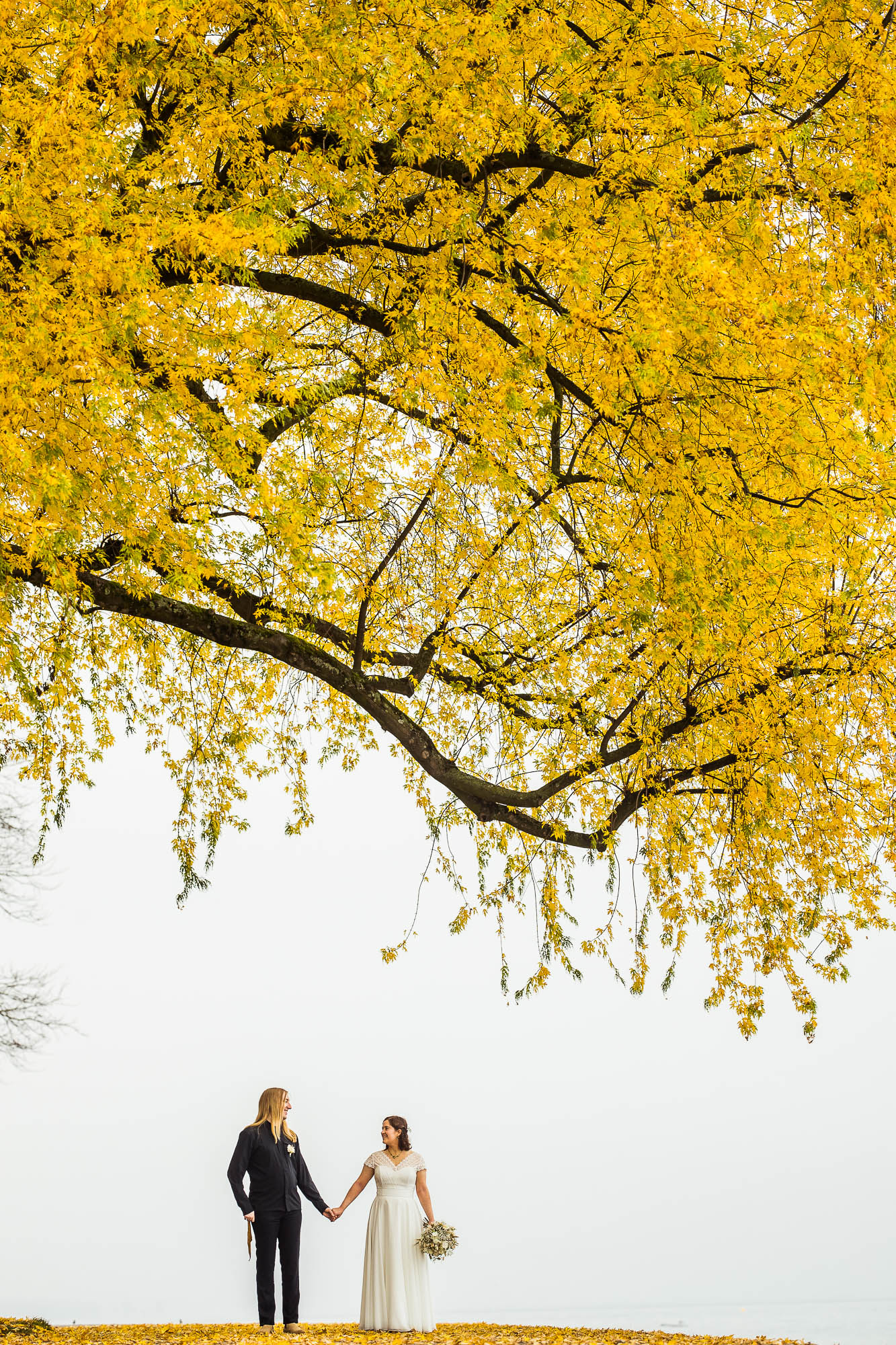 Export x3 1DX29364 Hochzeit 2020 Monika & Sharru 2